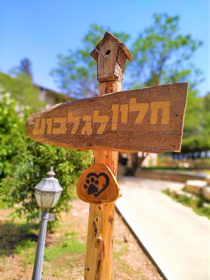 חלון לגלבוע צימר בוטיק בעמק המעיינות Bet Alfa Buitenkant foto
