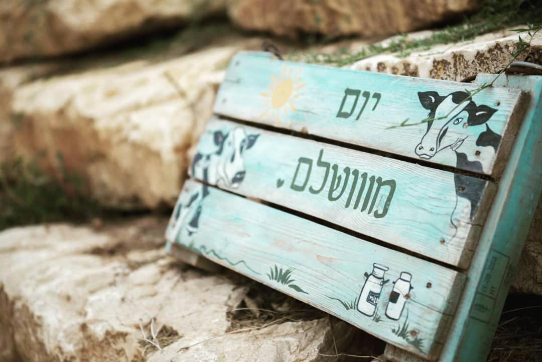 חלון לגלבוע צימר בוטיק בעמק המעיינות Bet Alfa Buitenkant foto